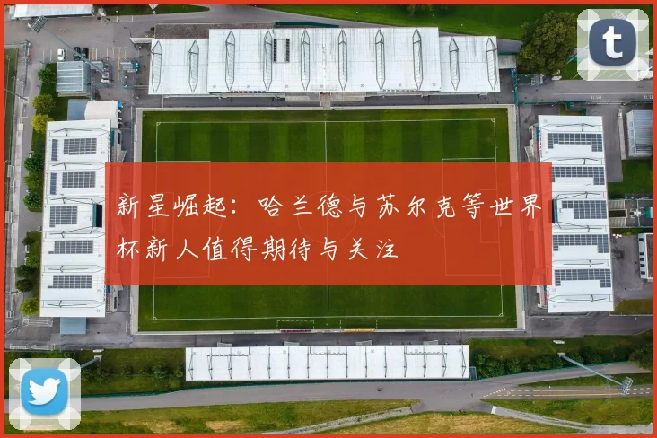 新星崛起：哈兰德与苏尔克等世界杯新人值得期待与关注