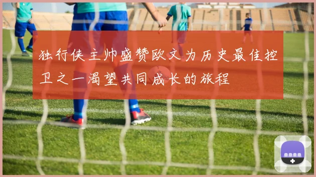 独行侠主帅盛赞欧文为历史最佳控卫之一渴望共同成长的旅程