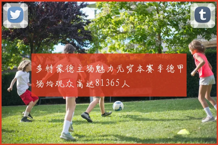 多特蒙德主场魅力无穷本赛季德甲场均观众高达81365人